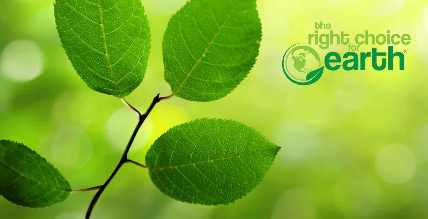 Sustainability The ight Choice for eart Sustainability